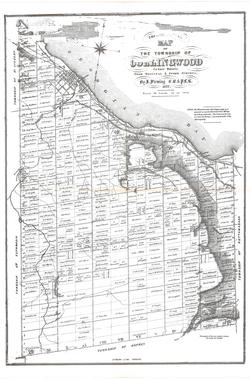 Topographical Map of the Township of Collingwood [1872]
