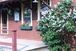 The Depot - Porch with Lilacs 